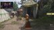 KCD 2 Dev Stream
