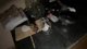 Ghost hunting in creepy abandoned farm. dumbest idea ever tbh