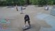 LEARNING HOW TO SKATEBOARD DAY 2 !!! OLLIE POP OR CANT END! !socials :)