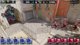 [PT-PT] PARIVISION vs Falcons | BLAST Open Rotterdam | Playoffs