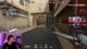 🔴 Pew Pew Session! | !ARP - Free Alienware Points | @TheGeekEntry all socials