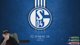 Schalke Karriere Rückrunde / Reactions 🤠  !tab !insta !tcg !aog