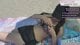 LIVE ✨ beach brat looking for submissive bf 💗💰!tip !socials