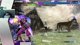 !youtube !Sub Expedition 33 then Tournament run and chill