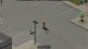 Project Zomboid, Build 42 Unstable IWBUMS (First Impressions)