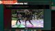 🏀NBA 2k26 : Je suis vieux🏀 !holzkern !holy !ig