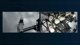 NASA's SpaceX Crew-11 Launch