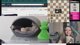 CAT CAMERA CHESS