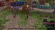 stream nocturne nocam pour les puants