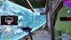 CAMPEONATO SQUAD W PULGA, TEUZZ E THEFELOZ | !livepix | !exitlag | CODE: blackoutz #ad