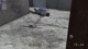 PLAYING WINTER CHERNO DEEP IN A DEGEN SCHEDULE SOZ MY LIL ZOOPER DOOPERS