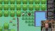 MATIN PRE-WORLDS ⚡ Le Nuzlocke IMPOSSIBLE RUN&BUN⚡WORLDS POKÉMON à 18H !worlds !Holzkern