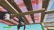 duo unreal w/ andilex