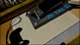 雑談・ゲーム配信
