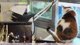 9/12 猜猜哪裡不一樣 !vpn !簽到