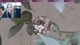 Live Hummingbird Nest Cam! Mommy Kiwi and her two babies!