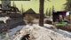 🔴LIVE - WARZONE WINS ALL DAY W/ BOBBYPOFF