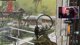 NEW Kar98k sniping on Warzone Pacific! | Powered by Duracell Optimum | !giveaway !duracell #ad
