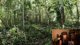 🔴 HIII 🔴 1 FOLGE 7 VS WILD REACTION 🔴 Teilnehmer POVVVVV 1 FOLGE OMG 🔴
