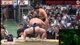 Sumo