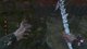 D3AD Plays DBD! - !Build !Youtube - !APPLY