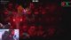 (VERIFYING) GRIEF 80%, 79%x2, 78% // 65%+ x52 // STREAM 259