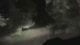 🟨IRL WOODS ACTION🟨