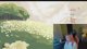 peak w miyoung then anime horse girl game