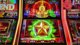 ★ Las Vegas LIVE FUN ACTION! ★ !cookunity