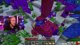 Constructing the TNT Machine! • 6+ Years Hardcore World! [1.21.8] • !project !tour !pack