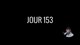 Record du monde sur 60 secondes aujourd'hui car les pillards vont être cool (PB : 584 / WR : 591) - !lycans !poketwitch