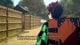 #sponsored Demon Slayer: Kimetsu no Yaiba - The Hinokami Chronicles 2