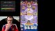 [280/365] 🟡 NEW SEASON OF CLASH ROYALE 🟡 WITH RYLEY 🟡