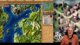 Aufbau-Samstag! ANNO 117 Pax Romana + 22:00 Retro-Perle PATRIZIER 2 | !anno !youtube !discord !asus !pc !regeln #Deutsch