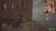 100% Hogwarts Legacy Run (wenn die Capture Card will)  ♥  !kofi !streamplan !partnerplus