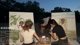 HIIII! SPENDING THE DAY WITH @SAKURASHYMKO & @ZOIL!  ⭐🌳 - PAINTING IN THE PARK! 🌳