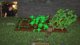 Hermitcraft??