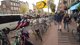 🔥🌳LIVE: ANTI-ASIELDEMONSTRATIE MUSEUMPLEIN!🚨🗣️
