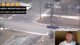 BIRDS IN THE AIR: Police Chase Replay