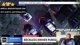 BIRDS IN THE AIR: Police Chase Live