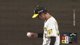 《2022日本職棒阪神虎主場賽事》9/13(二) LIVE 廣島東洋鯉魚VS阪神虎  今日直播人數超過700就抽獎唷！！！ 抽獎資訊請繼續鎖定直播