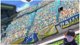 イナダイを見る