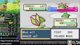 🍍!Safari EARLY KOGA Super Kaizo