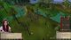 WoW player trying RuneScape | No Quest Helper (HCIM btw) | Goals: More Quests!! And RFD progress | @anniefuchsia !socials