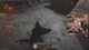 I PISSED SOMEONE OFF AGAIN - BEING VIEWBOTTED !postcard | !grabtap !corsair !gfuel !socials