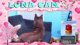 🐻💥BIG PLAYS LETS GET IT🐻💥✨CLICK🐬✨NOW🐬✨💰BIG GIVEAWAYS💰PS5💰💎GIFT CARDS!💎(&gt;❛̀ 👅 ́❛)&gt;