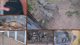 Animal Ambassador 24/7 Live Cams | !alveus !institute !pixel !schedule !video !feed