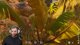 Gleich ARK Survival Ascended mit Eli, Monte, Zarbex, SummerNik und Gtime! | !LEVLUP !ESN