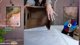 IRL NUMI STREAM! GUESS WHAT'S IN THE BOX OR GET PUNISHED YAY! | !gg !idf !ASUS #ad