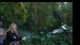 IRL ZOO STREAM!